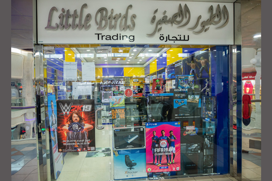 Little Birds Trading